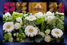 image-241204-flowers.jpg